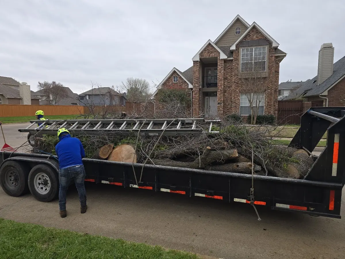 Expert Lot Clearing with proper safety equipment in Goldsmith